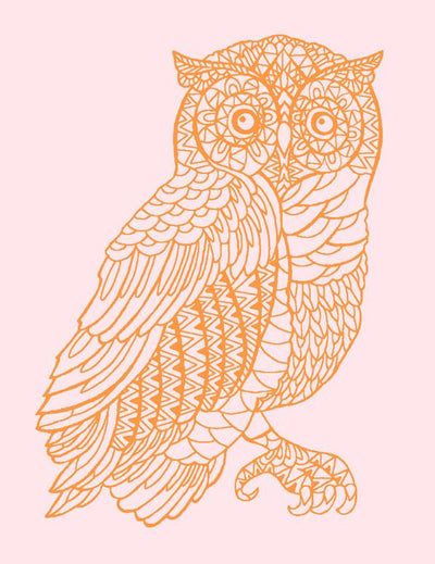 'Otus the Owl' Wallpaper by Wallshoppe - Piggybank / Pushpop