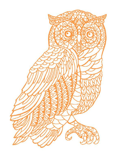 'Otus The Owl' Wallpaper by Wallshoppe - Pushpop On White