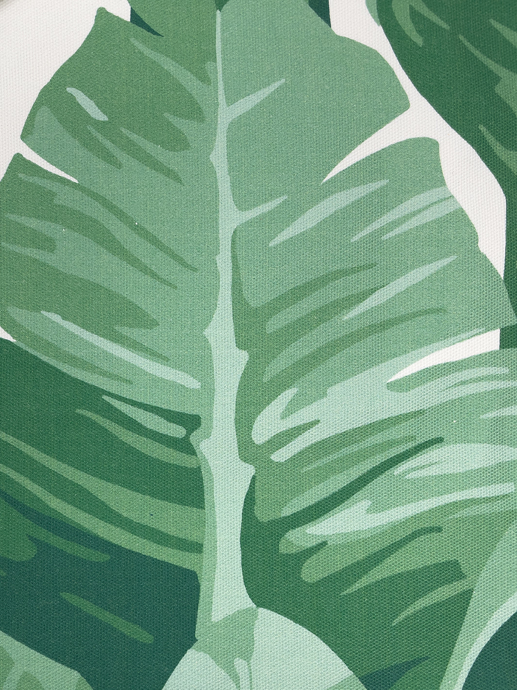 fabric by the yard pacifico palm natural on california cotton