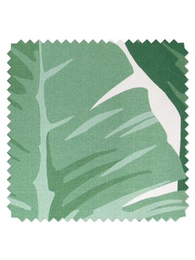 fabric by the yard pacifico palm natural on california cotton