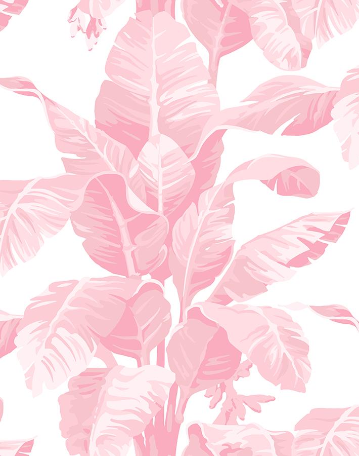 pacifico-palm-garcelle-pink