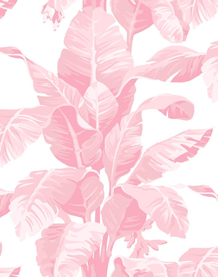 'Pacifico Palm' Wallpaper by Nathan Turner - Garcelle Pink