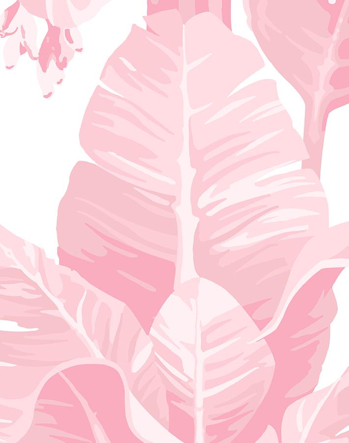 pacifico-palm-garcelle-pink