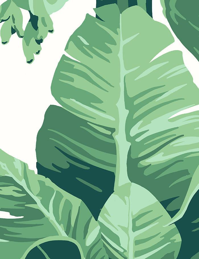 pacifico-palm-ivory