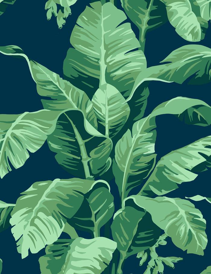 'Pacifico Palm' Wallpaper by Nathan Turner - Indigo