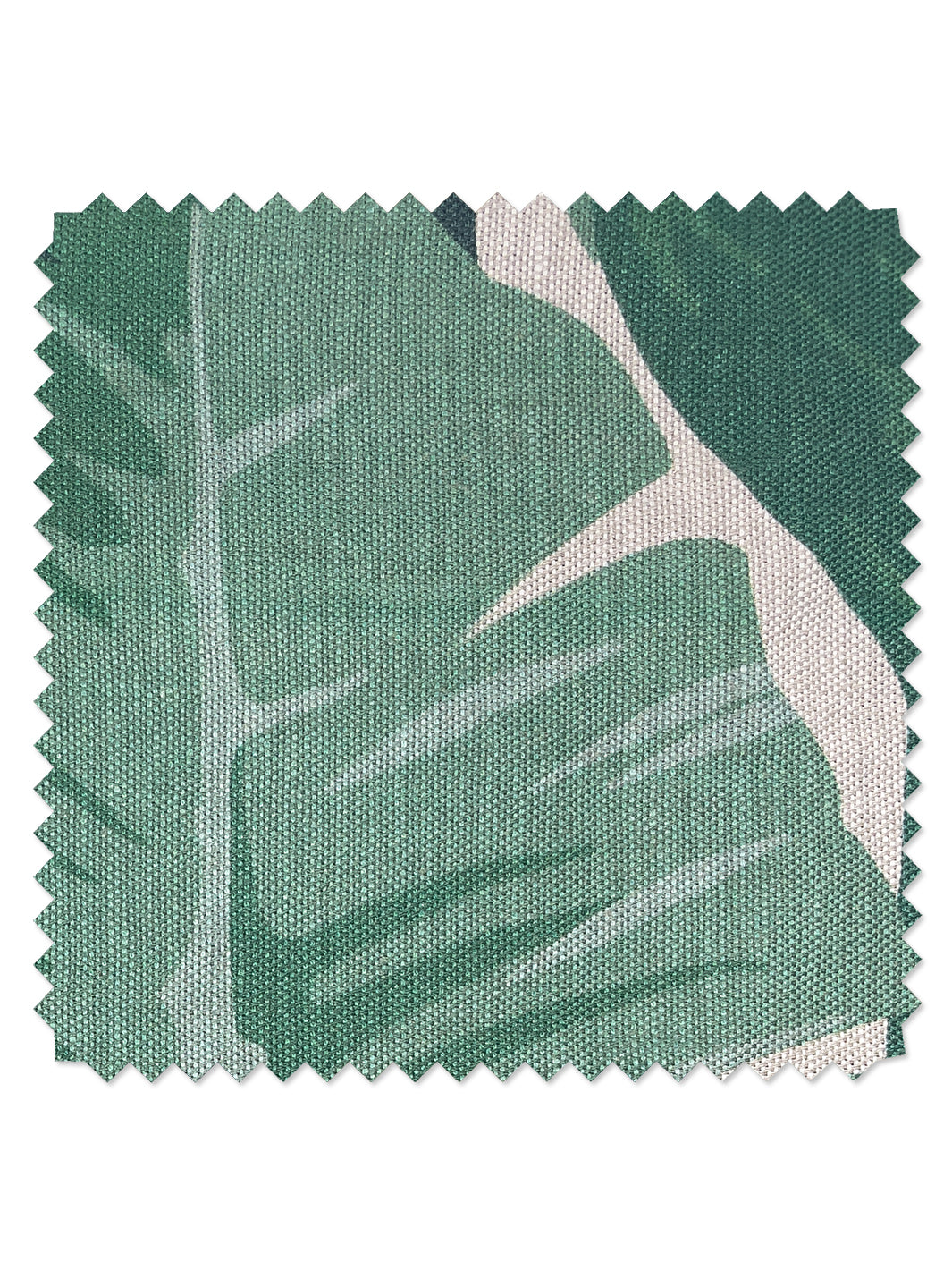 fabric by the yard pacifico palm natural on organic twill