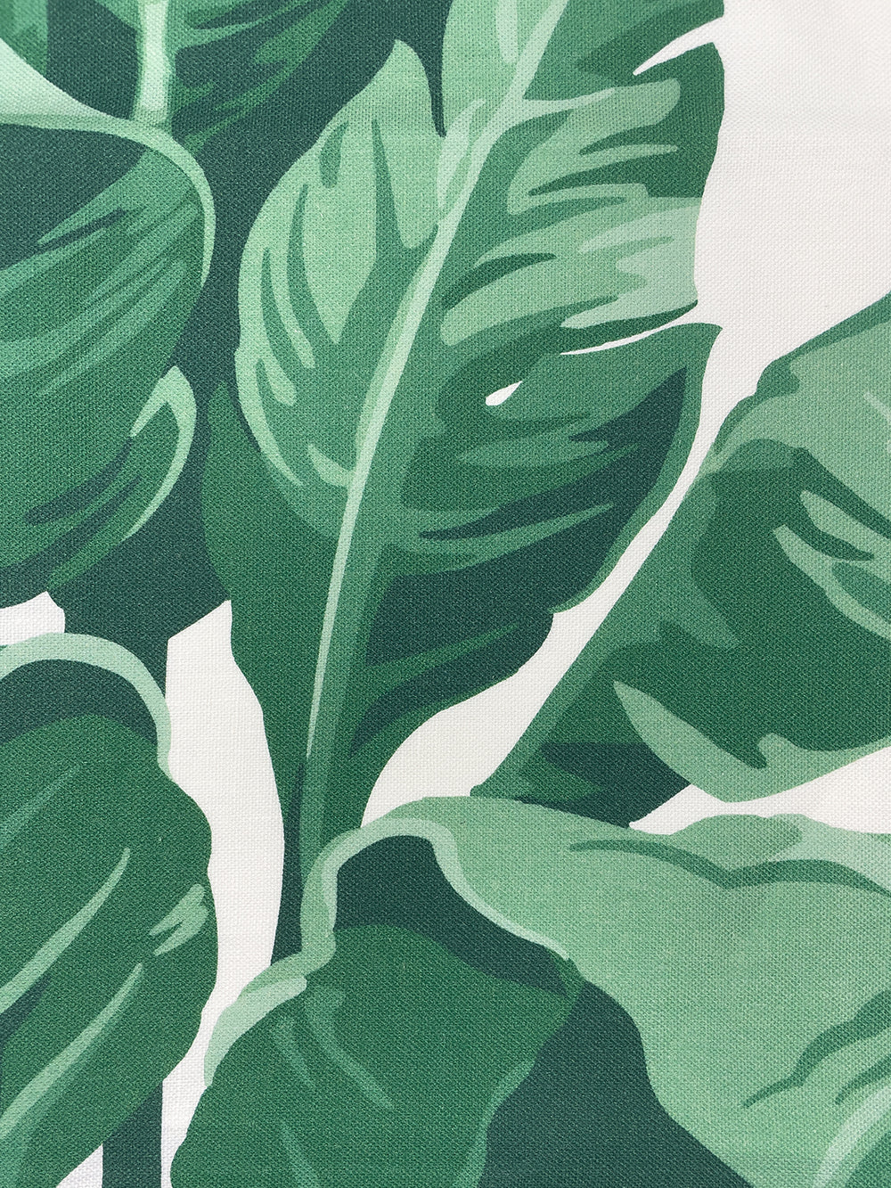 fabric by the yard pacifico palm natural on organic twill