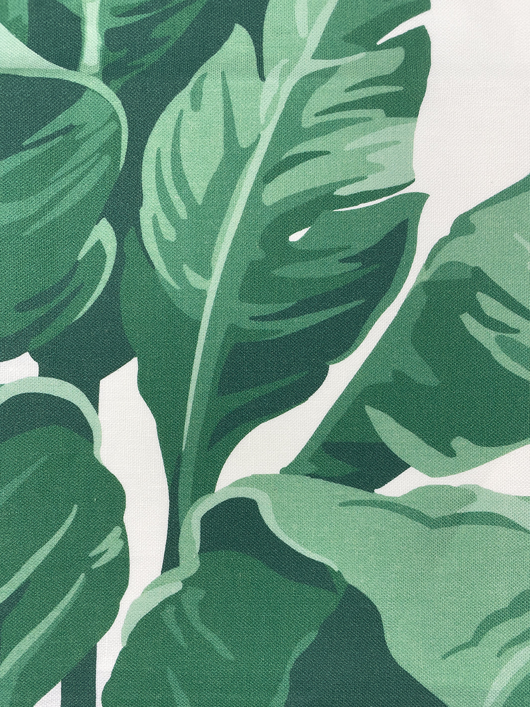 fabric by the yard pacifico palm natural on organic twill