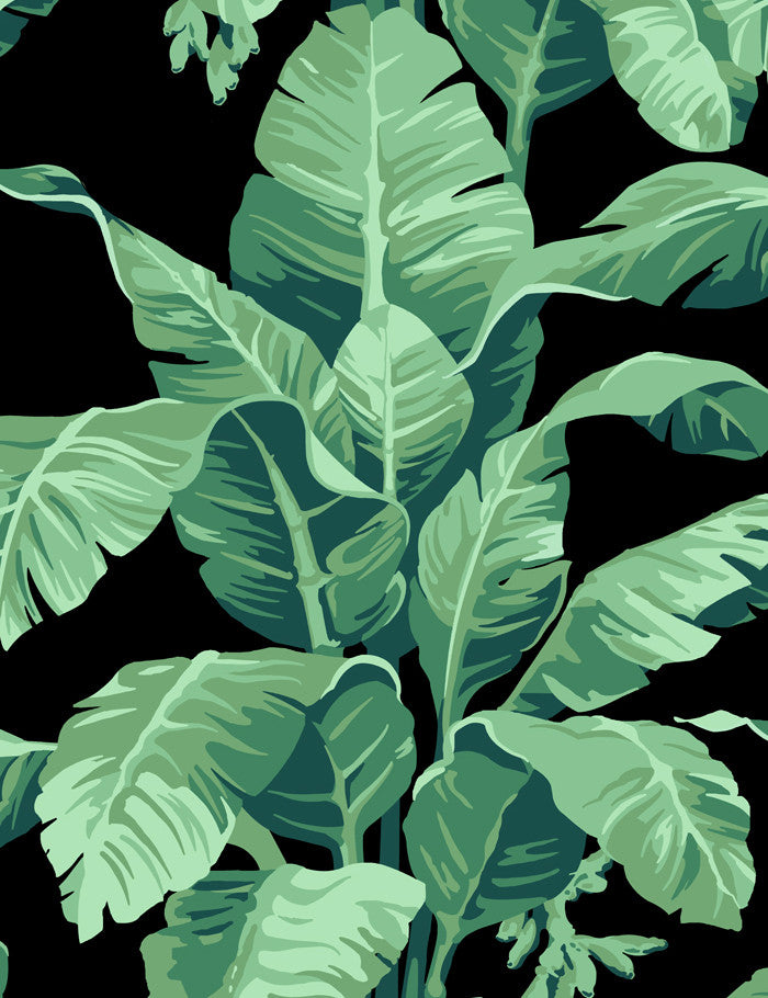 'Pacifico Palm' Wallpaper by Nathan Turner - Onyx