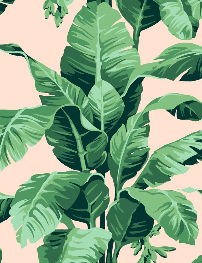 'Pacifico Palm' Wallpaper by Nathan Turner - Peach