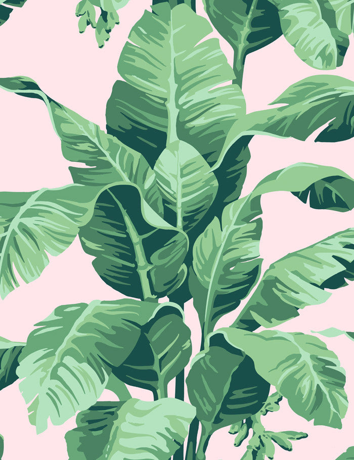 'Pacifico Palm' Wallpaper by Nathan Turner - Pink