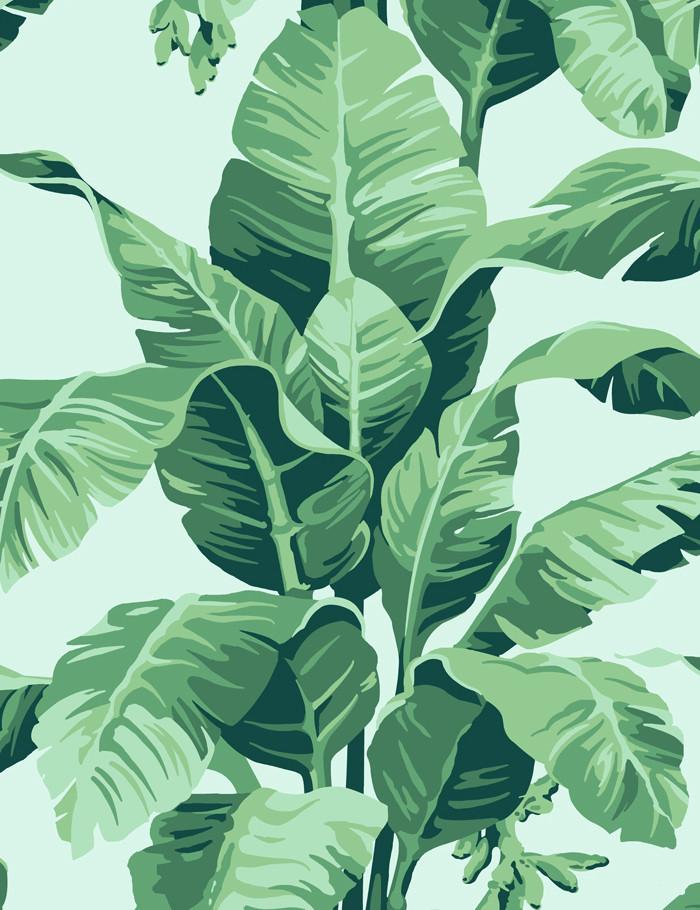 'Pacifico Palm' Wallpaper by Nathan Turner - Robins Egg