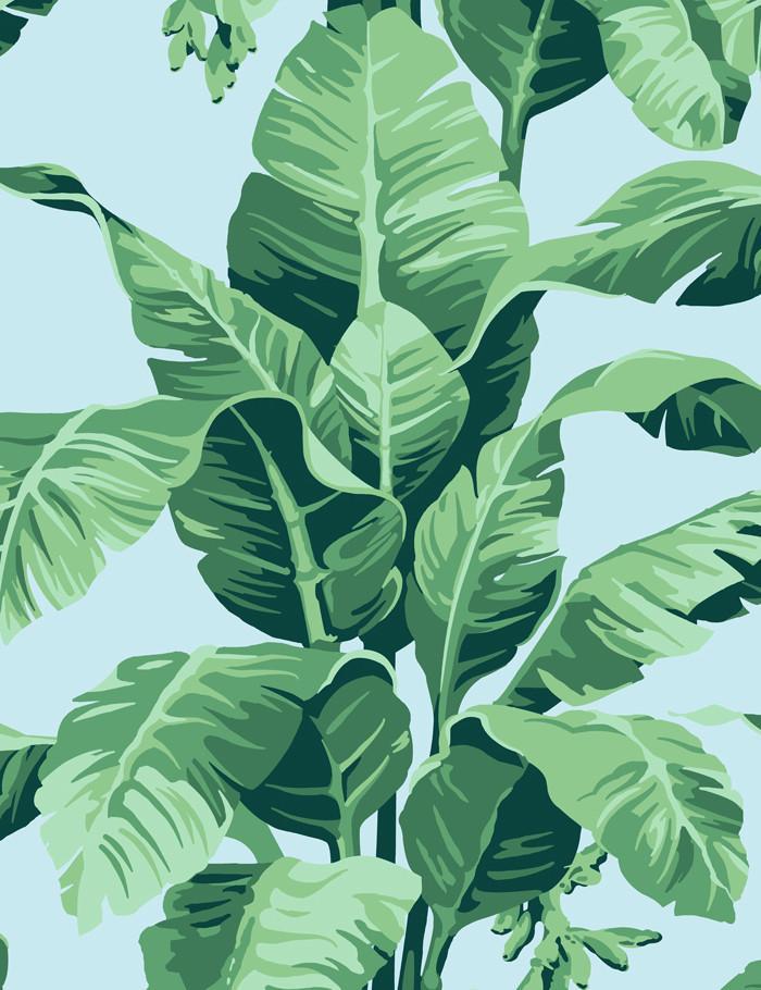 pacifico palm sky blue