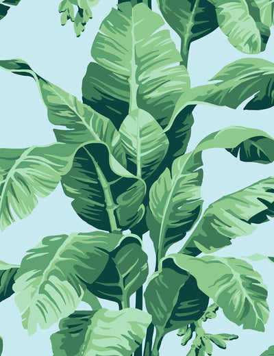 'Pacifico Palm' Wallpaper by Nathan Turner - Sky Blue