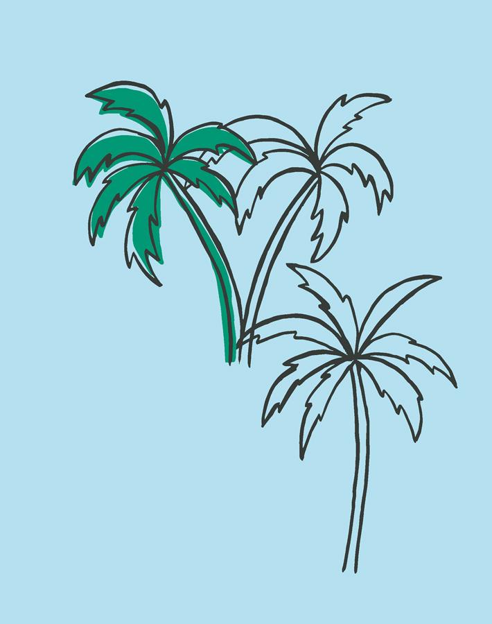 palms baby blue