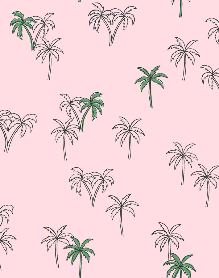 palms ballet slipper