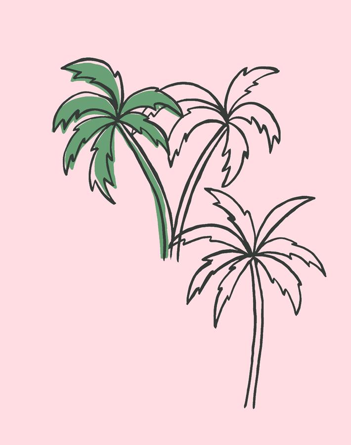 palms-ballet-slipper