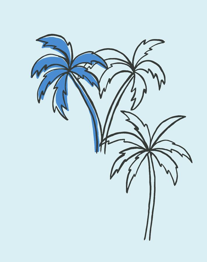 palms-cerulean
