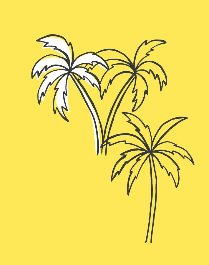 palms daffodil
