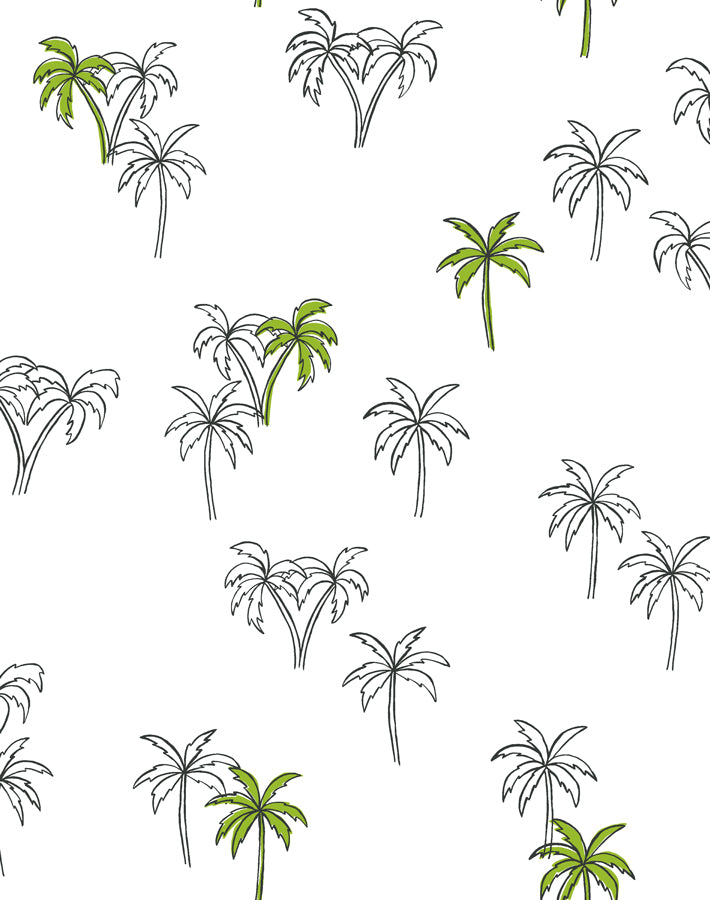 palms-lime