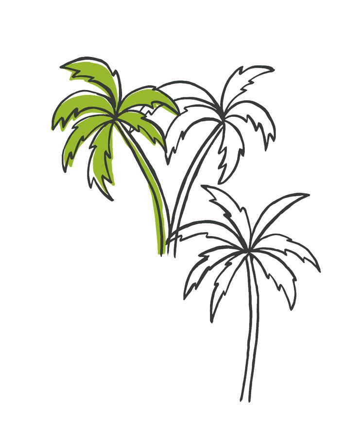 palms-lime
