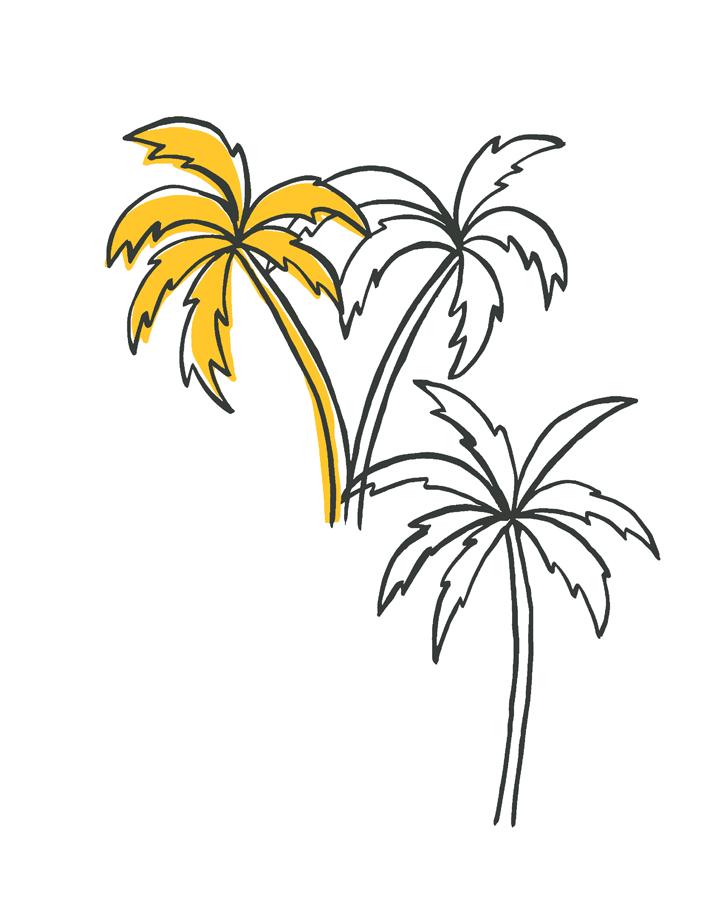 palms-marigold
