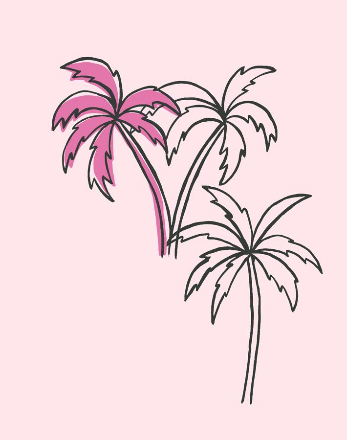 palms-piggy-bank