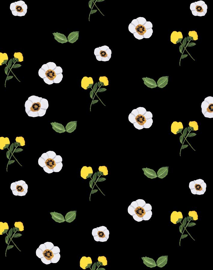 parfumee-garden-black-wallpaper-by-carly-beck