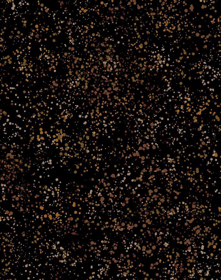 parsons-paint-black-sienna