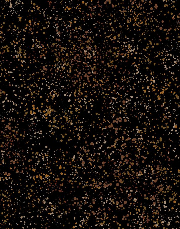 parsons-paint-black-sienna