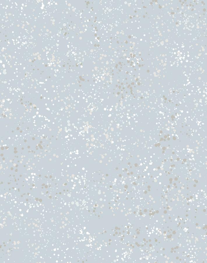 parsons-paint-silver