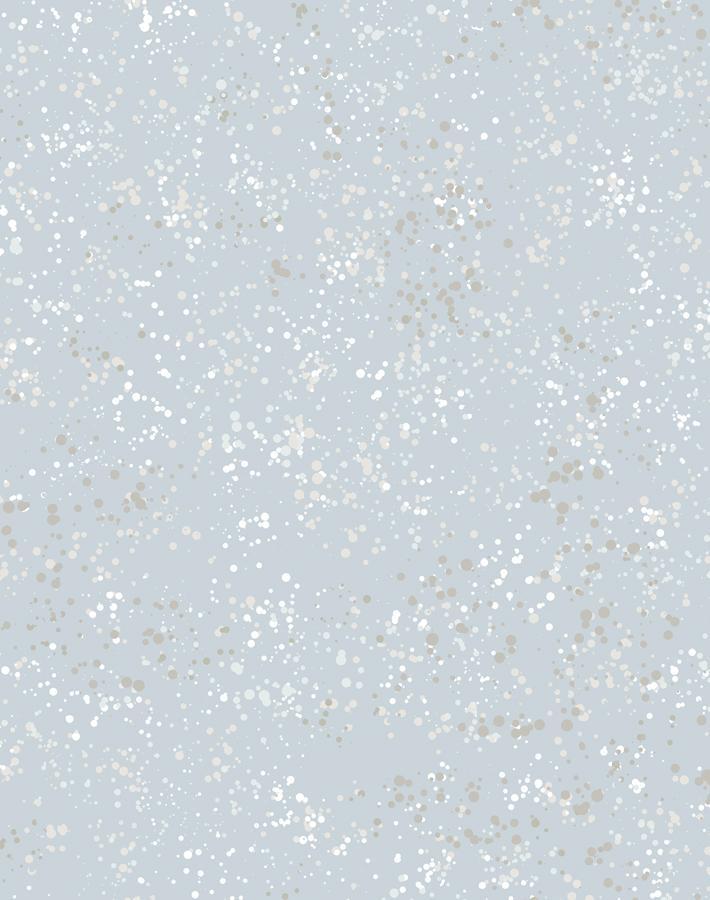 parsons-paint-silver