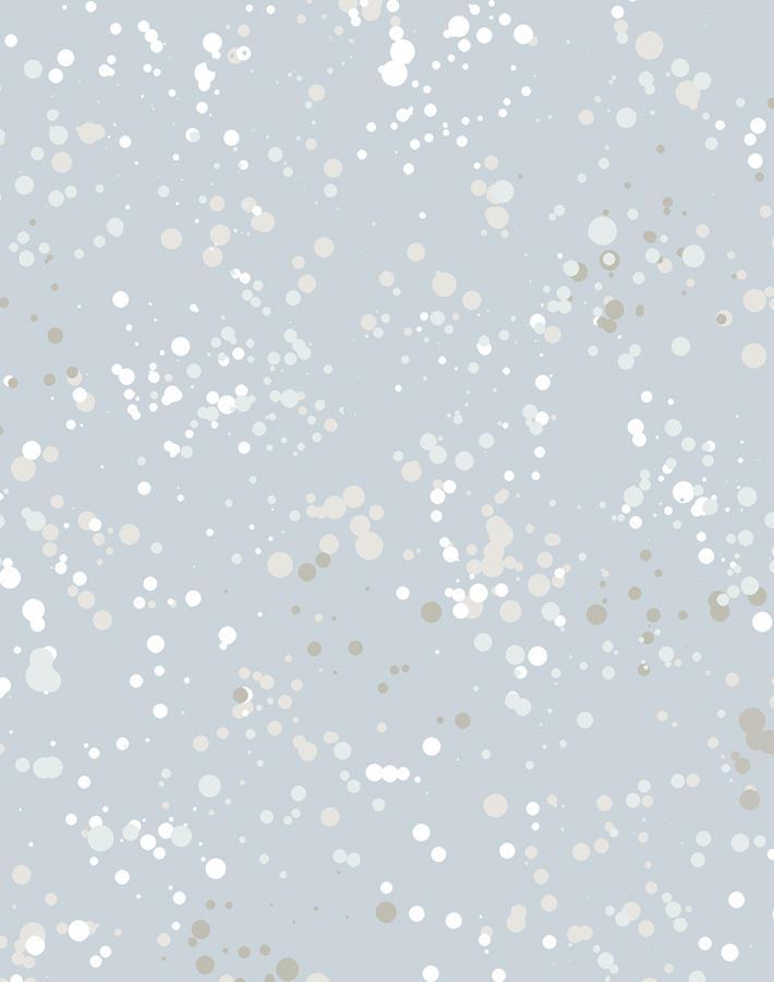 parsons-paint-silver