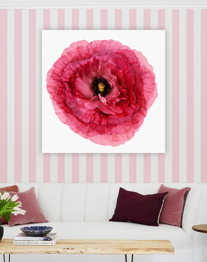 Artshoppe Passion Peony on Acrylic by Nathan Turner