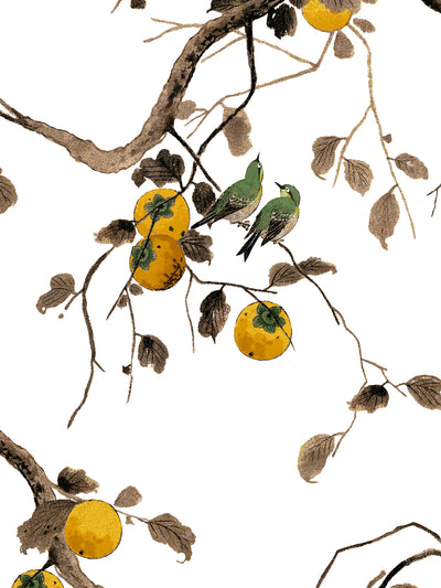 'Persimmon Birds' Wallpaper by Nathan Turner - Mustard