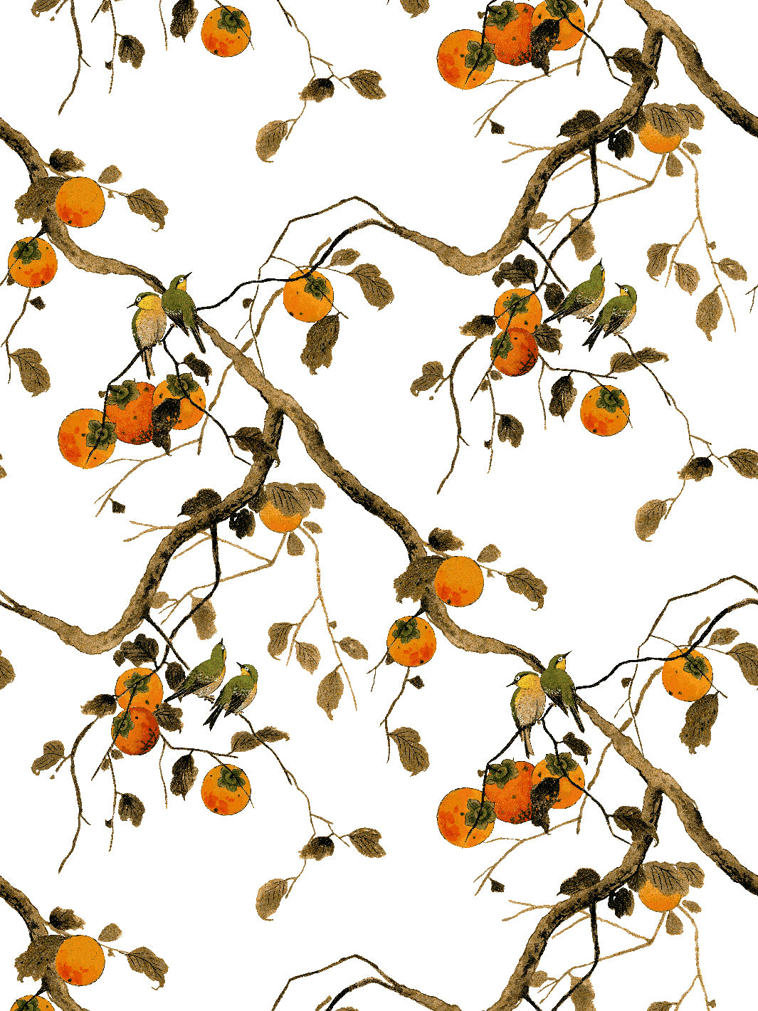 'Persimmon Birds' Wallpaper by Nathan Turner - Persimmon