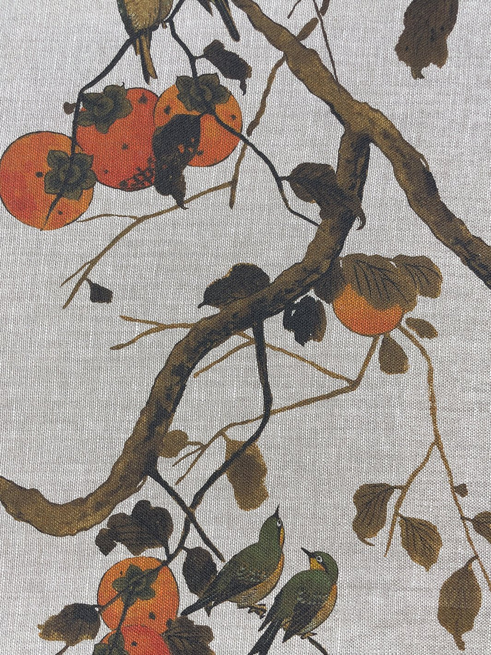 fabric by the yard persimmon birds persimmon on organic twill
