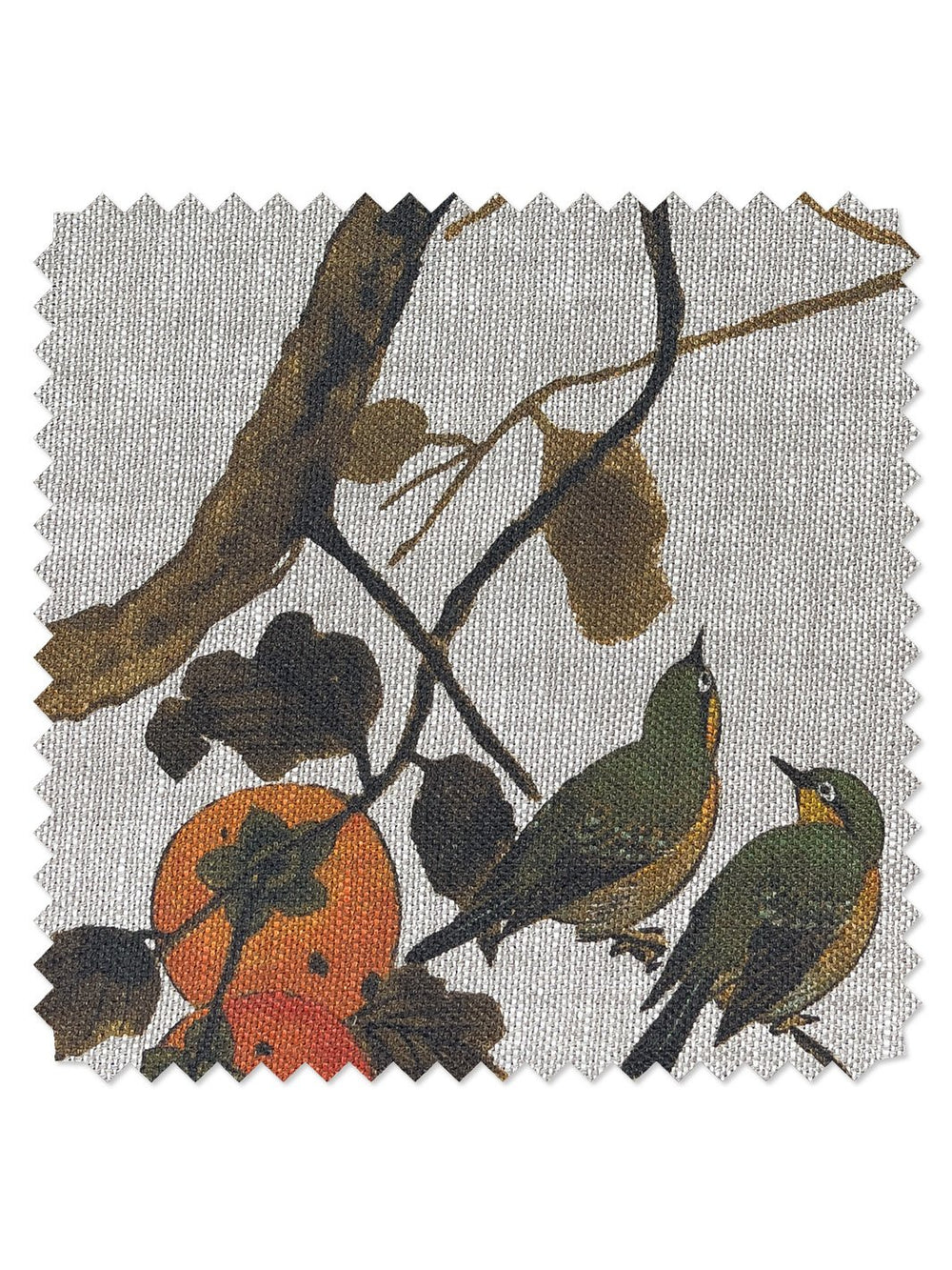 fabric by the yard persimmon birds persimmon on organic twill