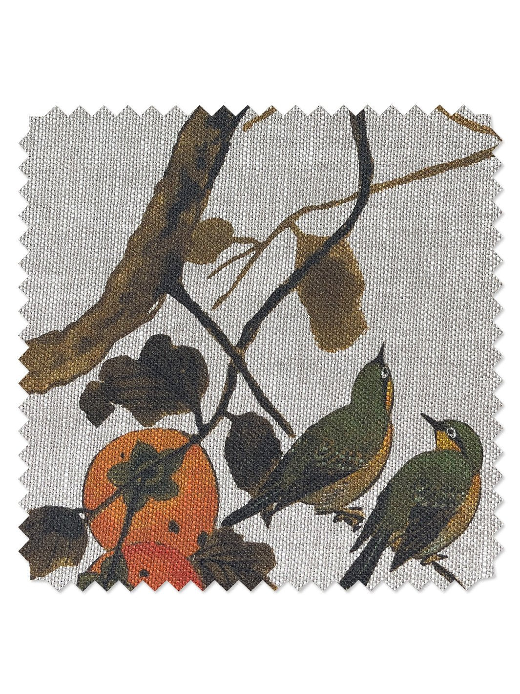 fabric by the yard persimmon birds persimmon on organic twill