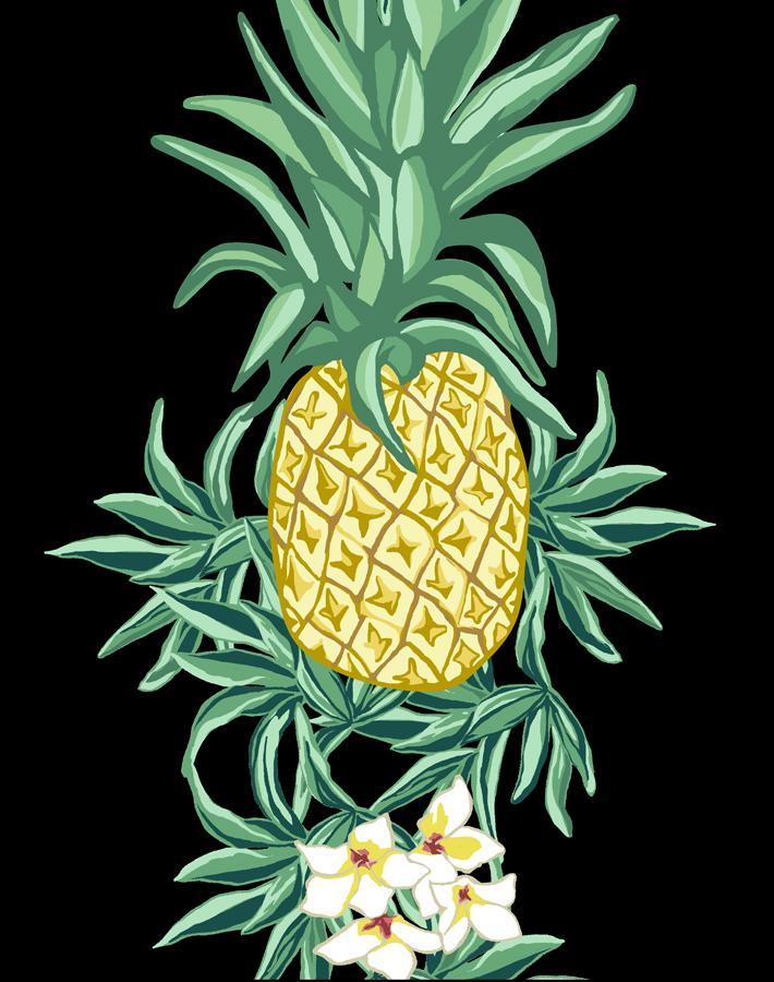 'Pineapple Express' Wallpaper by Nathan Turner - Onyx