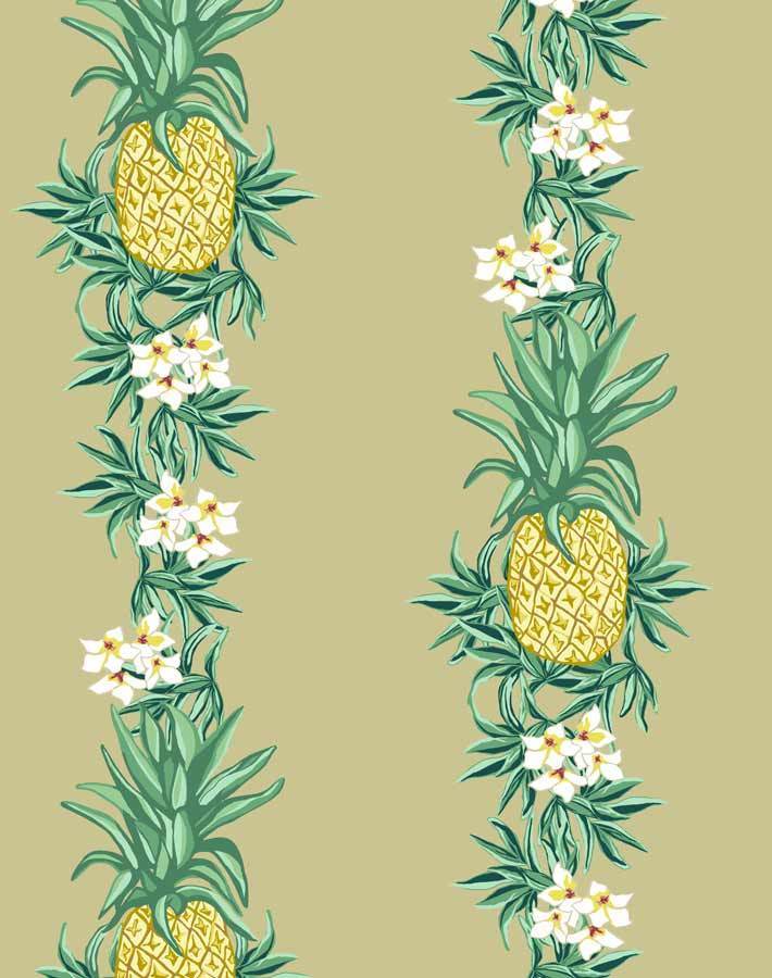 'Pineapple Express' Wallpaper by Nathan Turner - Safari
