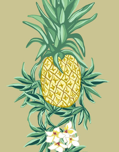 'Pineapple Express' Wallpaper by Nathan Turner - Safari