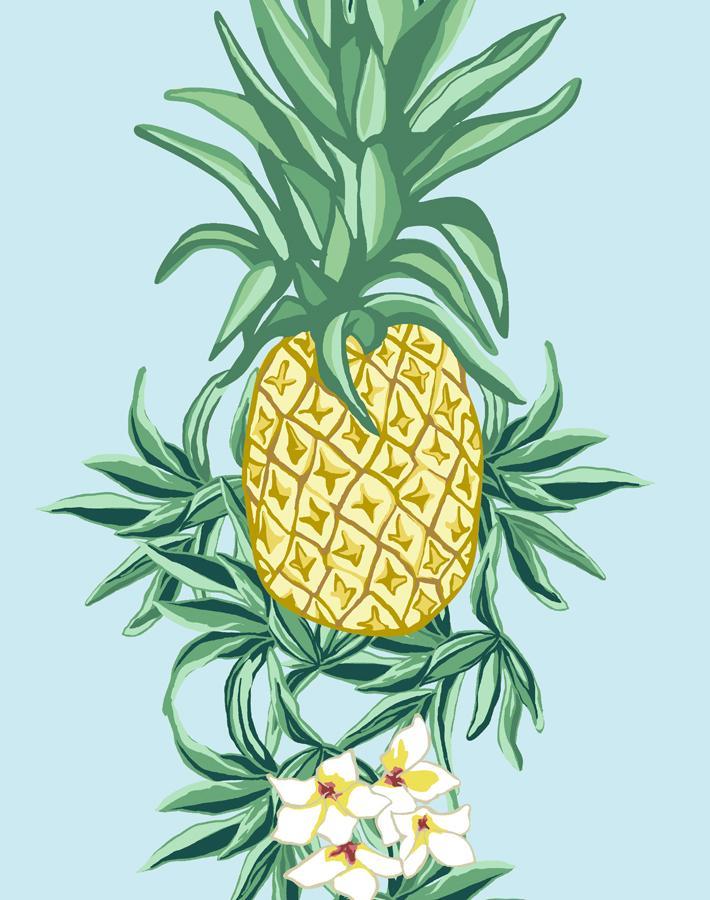 'Pineapple Express' Wallpaper by Nathan Turner - Sky