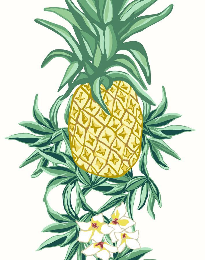 pineapple-express-white
