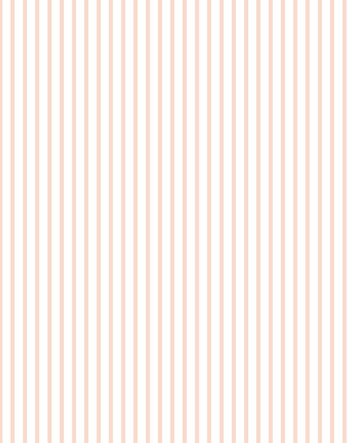 pinstripe-pink