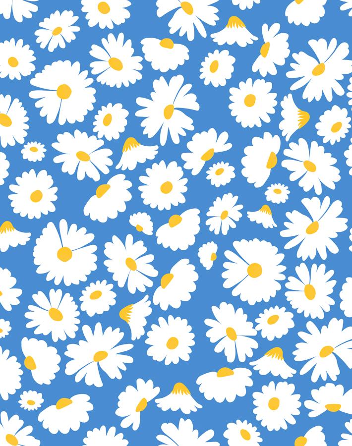pop daisy cerulean