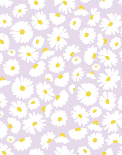 'Pop Daisy' Wallpaper by Wallshoppe - Lavender