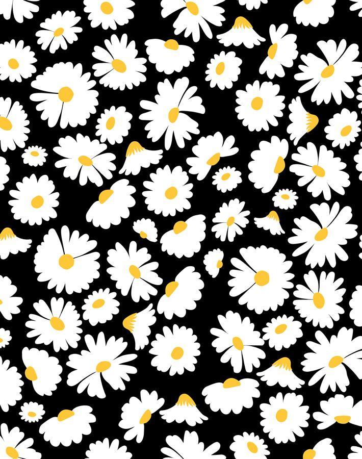 'Pop Daisy' Wallpaper by Wallshoppe - Onyx