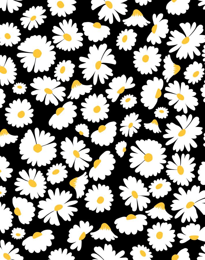 pop daisy onyx