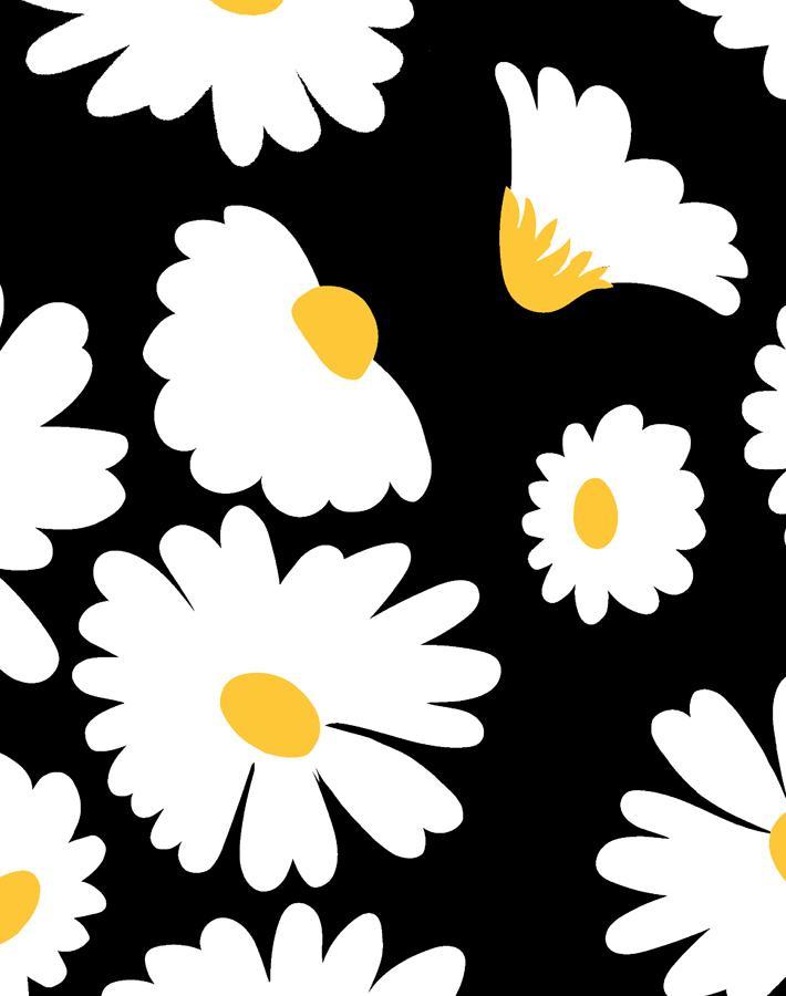 pop daisy onyx